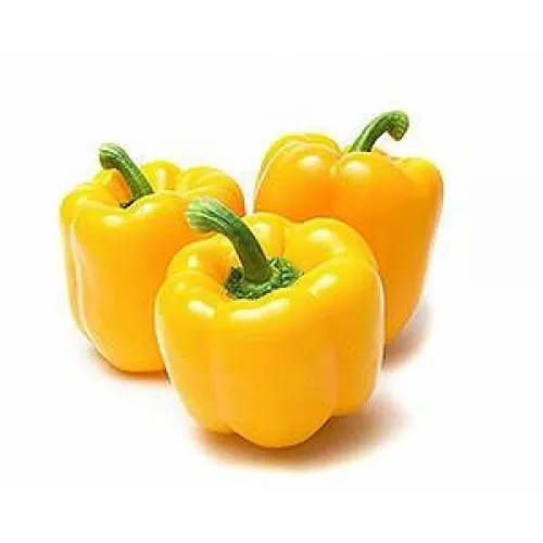 FV CAPSICUM YELLOW