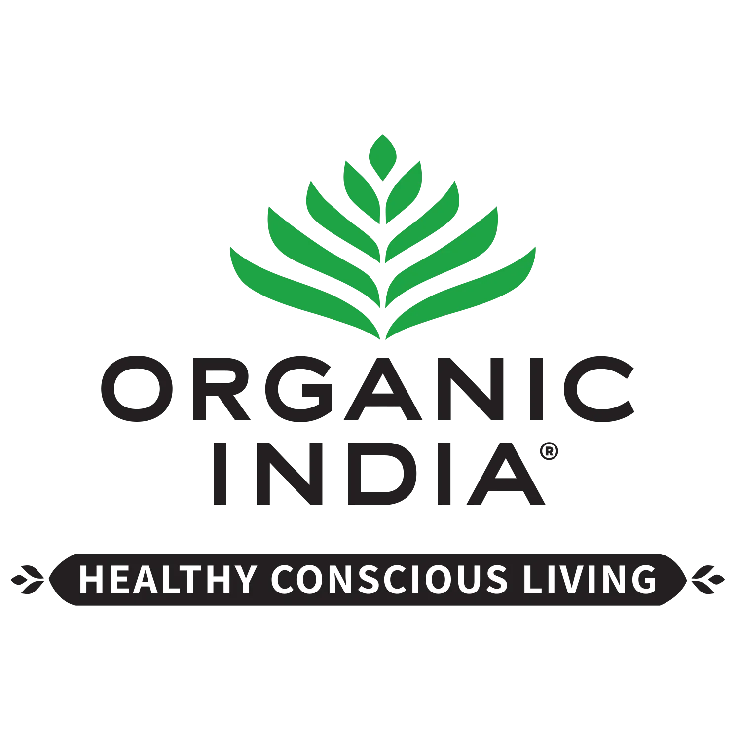 Organic India Tulsi Haldi Cinnamon 25 BAGS