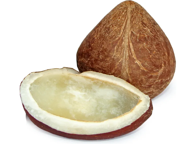 GD Coconut (Dry) Large 1 PCS
