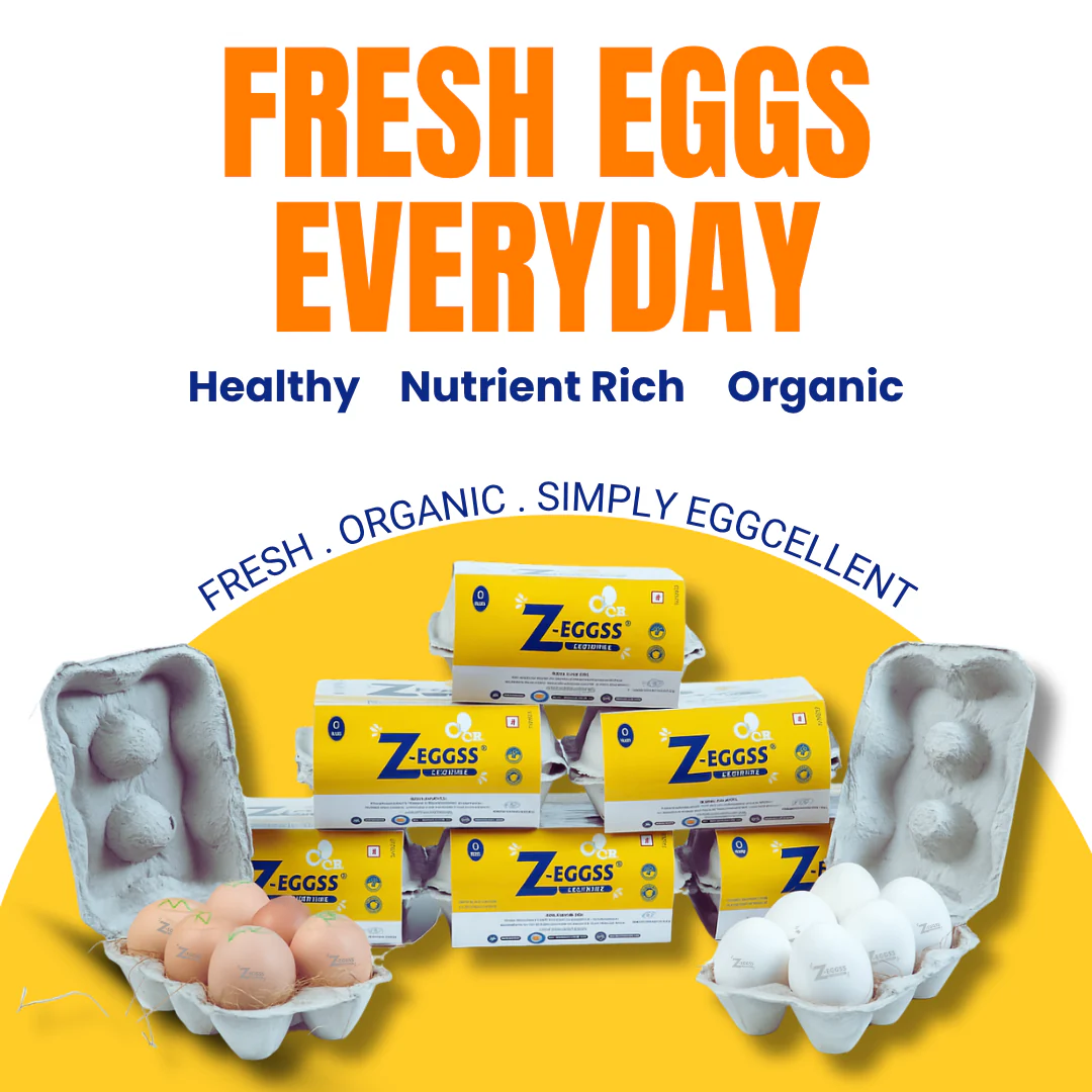 ZEGGSS ORGANIC WHITE EGGS ,25N - Image 2