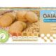 Gaia Lite Bite Sugar Free Cookies,100Gm