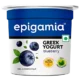 Epigamia Greek Yogurt Blueberry, 85Gm