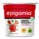 EPIGAMIA YOGURT STRAWBERY 90GM