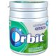 Wrigley's Orbit Spearmint Chewing Gum Pot,66 G